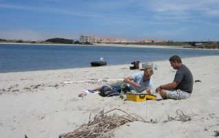 Beach hydrology